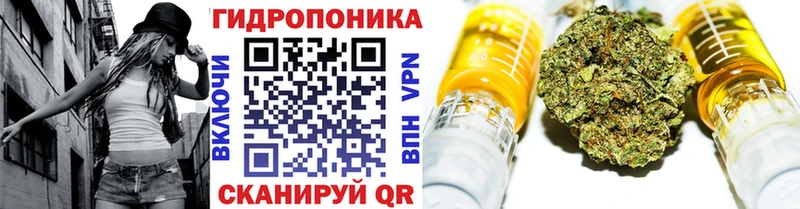 Канабис сатива Онега