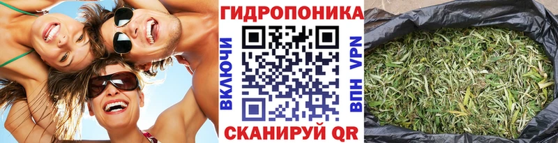 Шишки марихуана ГИДРОПОН  где купить наркотик  Онега 